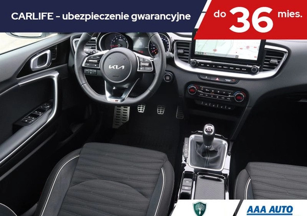 Kia Pro_cee'd cena 123001 przebieg: 12482, rok produkcji 2023 z Ostróda małe 191